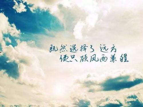 重生82：傻子守村人的赶山生涯